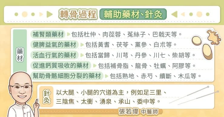 促進骨骼發育5大藥材