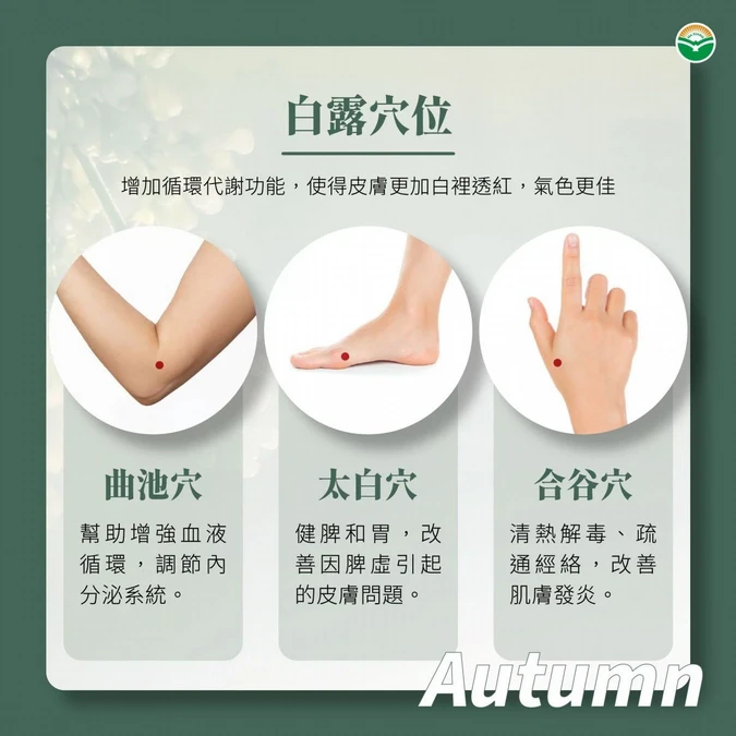 按摩3大補益穴位讓肌膚白裡透紅