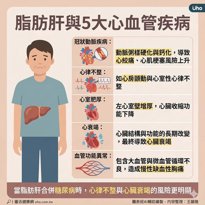 脂肪肝與5大心血管疾病
