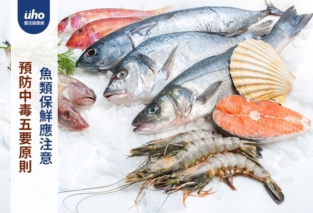 魚類保鮮應注意　預防中毒五要原則