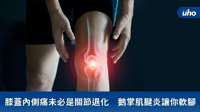 膝蓋內側痛未必是關節退化　鵝掌肌腱炎讓你軟腳