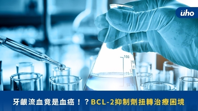 牙齦流血竟是血癌！？BCL-2抑制劑扭轉治療困境