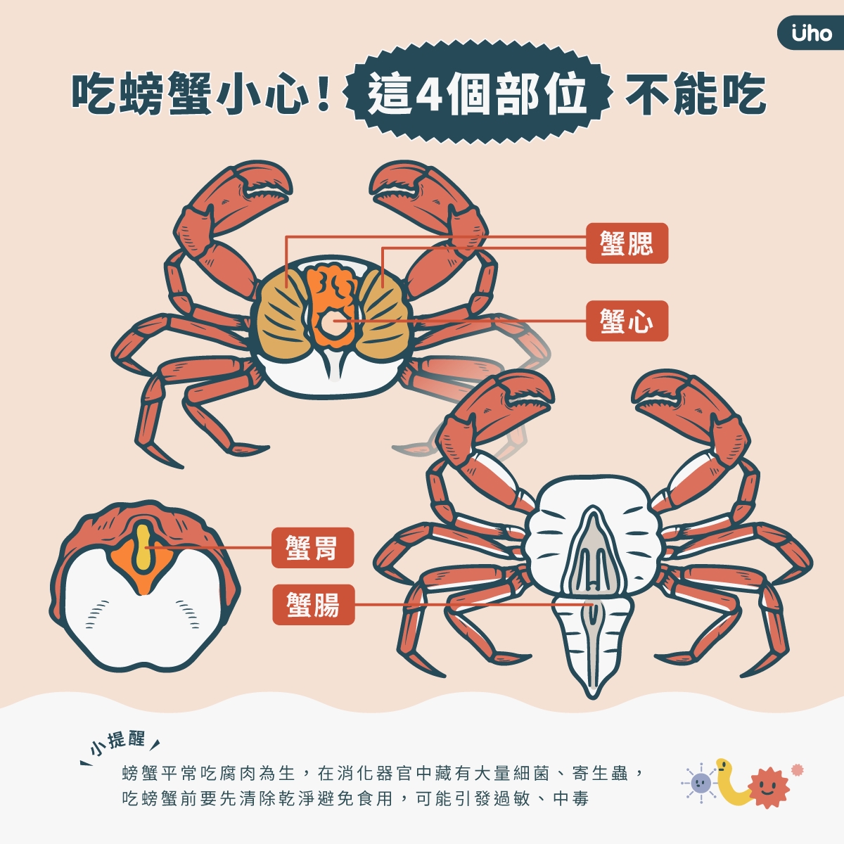 怎么挑螃蟹,螃蟹怎么挑选,技巧_大山谷图库