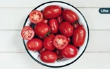 有食譜》在家享餐廳等級小菜！消暑開胃「冰釀梅汁番茄」3步驟開吃