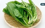 芥菜怎麼炒才不會苦？長年菜下鍋前「3招」去苦味：先用熱水川燙