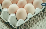 雞蛋過期還可以吃嗎？雞蛋放冰箱可以放多久？雞蛋保存「5大秘訣」
