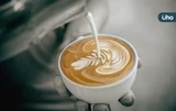 咖啡專用牛奶是什麼？和鮮乳有差異嗎？營養師揭常見乳品「4大迷思」