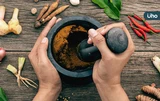 中藥入菜好處超多！超養生「4大藥膳料理」：蓮子煮湯、紅棗泡茶