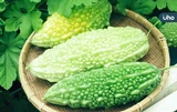降血糖、降血脂又抗癌⋯苦瓜功效超多！教你「1吃法」保留最多營養