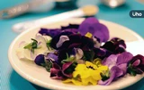 常見食用花你吃過幾種？桂花、金針花、洛神花⋯這樣料理好看又好吃