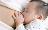 哺乳常見「飲食禁忌」！餵母乳可以喝咖啡、酒嗎？哺乳3大迷思一次看