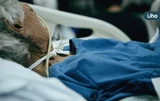 從洗腎王國到「綠色腎臟」！全台9萬人洗腎⋯醫：減少透析、移植是解方
