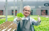 71歲退休校長變「田園系」YouTuber！自學拍片「教種菜」獲18萬訂閱