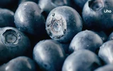 藍莓「連皮一起吃」營養價值最高！營養師盤點藍莓功效、最佳吃法