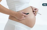 為什麼女性比男性難戒菸？國際研究揭「關鍵原因」不只生活壓力大