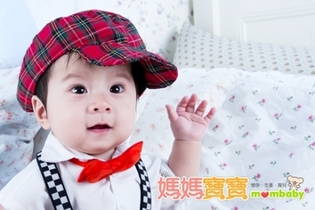 茲卡病毒是否會侵襲台灣?