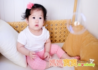 奇妙探險‧冒險小宇宙 昆蟲知識家