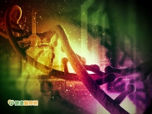 婦女易罹奪命癌 BRCA基因檢測精準防癌