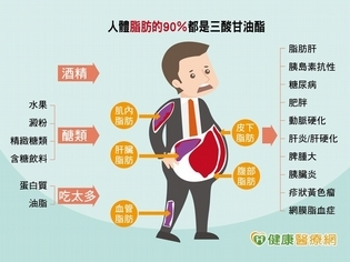 「返家八千里」的動力?談「三酸甘油酯」