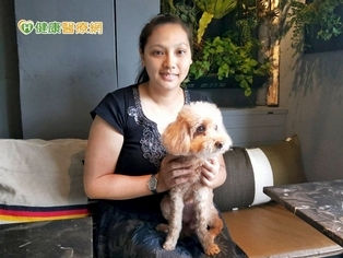 犬癌新福音! 新免疫療法實驗有成