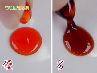 磷蝦油超夯 探索海功號遠赴南極真相
