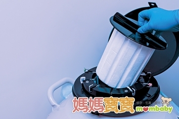 嘗試「凍卵」.儘早儲存優良卵子!