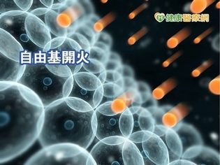 自由基走開! 抗氧化好朋友居然是「它」