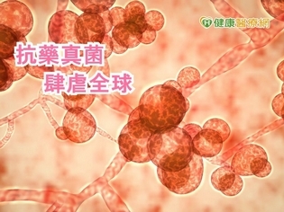 超級真菌成全球威脅 醫籲醫院加強防護