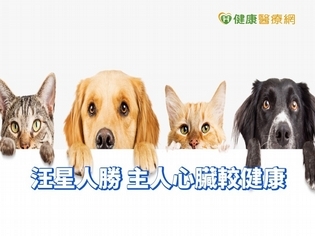 喵皇這次輸了 研究:養狗的心臟比較健康