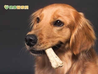 SNQ寵物食品認證出爐 毛小孩吃的更安心