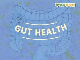 益生菌可提升免疫力? 腸胃科醫師突破盲腸
