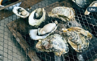 如何挑蚵仔才新鮮？可以冷凍保存嗎？2025夏日吃鮮蚵必知「5大QA」