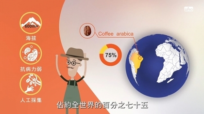 什麼是咖啡因?【葆哥咖學堂】
