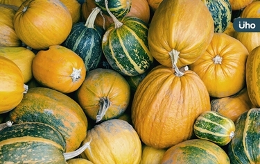 南瓜怎麼挑才好吃?教你看「挑選關鍵」鬆軟好吃又甜+最佳保存3招