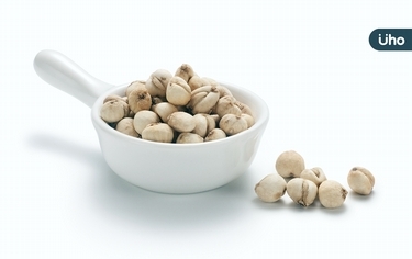 咳到出血、濃痰腥臭⋯秋燥養肺,中醫推「這種貝母」瀉火消炎最強