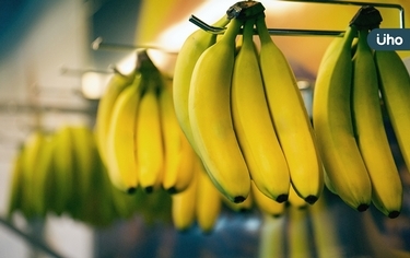 香蕉怎麼挑才好吃？營養師教你看「色階」分辨：這種營養價值最高