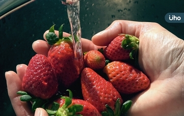 2023最新「草莓蟬聯8年」最髒水果！專家教「正確2步驟」甩農藥殘留