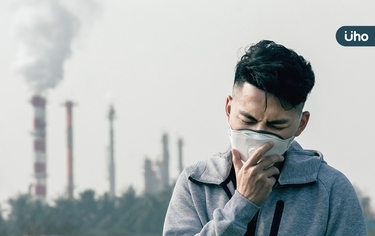 空氣太糟怎麼辦?中醫建議用魚腥草、紫蘇⋯5種中藥「顧心肺」有效