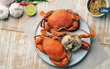 吃蟹季「6大營養價值」對肌肉、骨骼、心臟有益！5類人需謹慎吃