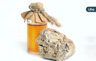 千年寶物「龍涎香」是龍口水?中醫揭「功效超多」:舒緩咳嗽、氣喘