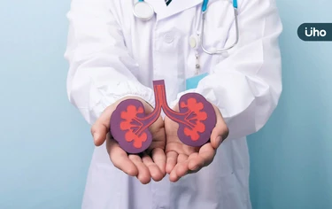 末期腎臟病「換腎存活率」比洗腎高!醫揭腎臟移植「5大心血管風險」
