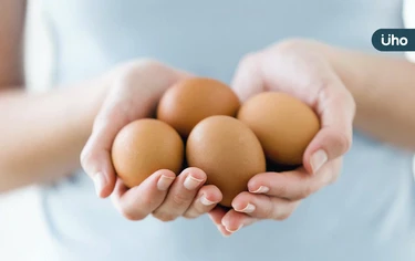 每天吃「雞蛋」能避免黃斑部病變?是真的!研究:眼病變風險降一半