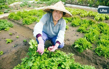 她50歲後「拋夫棄女」到異地生活！熟齡族靠「打工換宿」找回自我