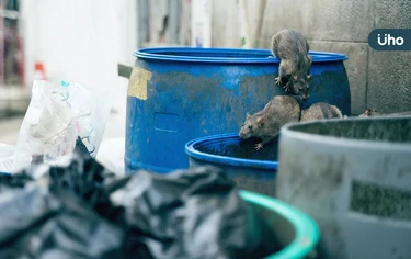 漢他病毒症狀有哪些？可能會人傳人嗎？2大發病模式：嚴重恐腎衰竭