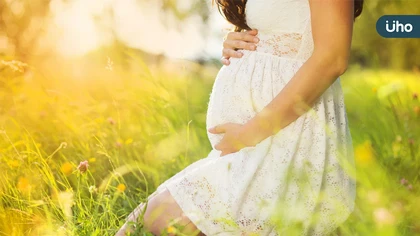 癌症主治醫師沒說的選項 TEFA台灣凍卵協會醫療性凍卵補助 「公益希望計畫」成癌友「生育保存」唯一助力