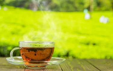 有食譜》芒種當心熱過頭、筋骨痠痛！中醫推喝2款「除濕茶飲」保健