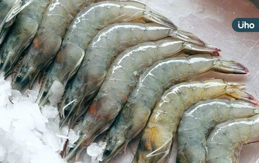 蝦子買回家，別傻傻直接放冰箱！海大教授教「保存1步驟」能放更久