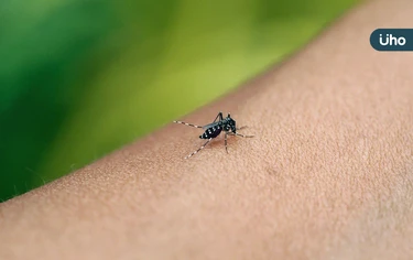 日本腦炎「單週增5例」創5年新高！疾管署示警：案例均有「1共同點」