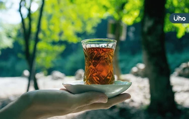有食譜》夏天喝水難解渴？中醫自製「益氣消暑方」泡茶加1物超退暑