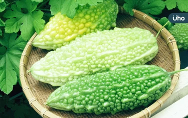 降血糖、降血脂又抗癌⋯苦瓜功效超多！教你「1吃法」保留最多營養